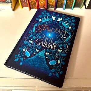 Stardust LITJOY Illustrated Special Edition by Neil Gaiman Stenciled Edges